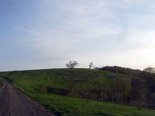 f0236291_14483752.jpg