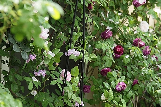 e0209997_024227.jpg