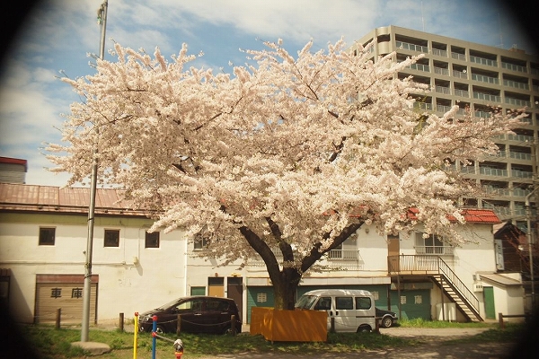 c0202705_11435997.jpg