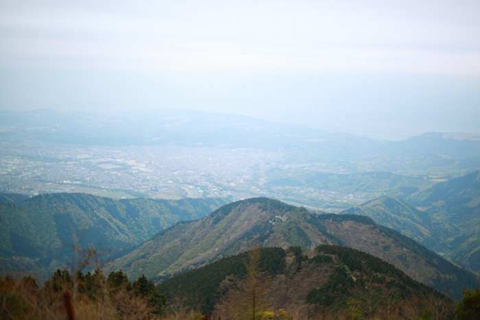 a0148606_10192396.jpg