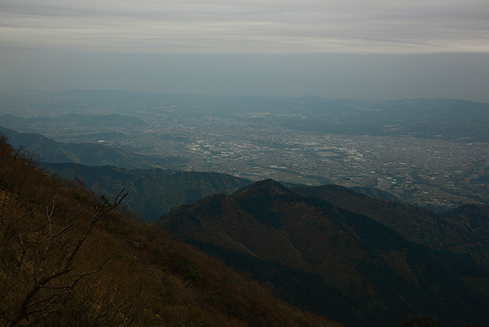 a0148606_10223361.jpg