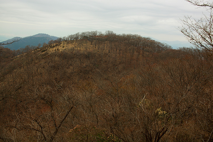 a0148606_1023458.jpg