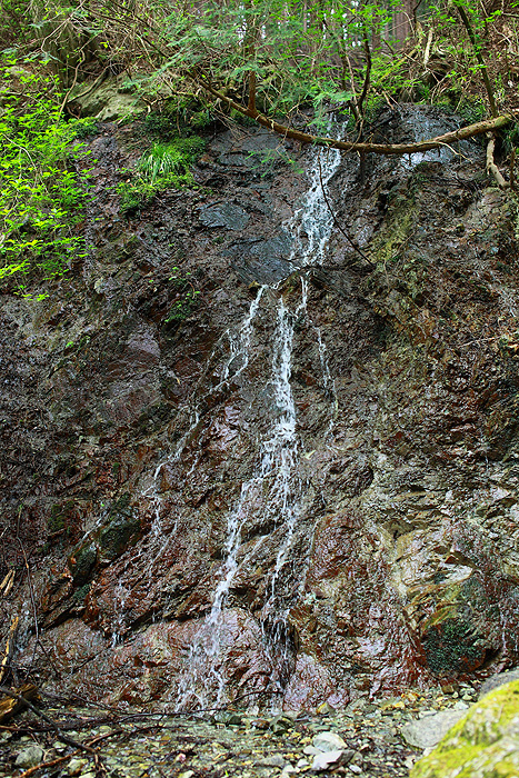 a0148606_1024541.jpg