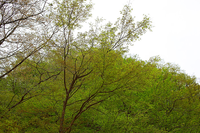 a0148606_10255013.jpg