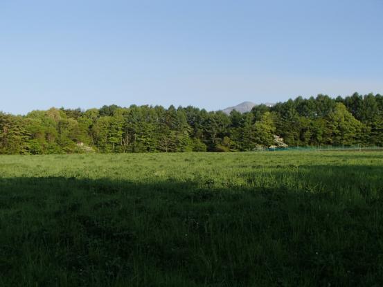 f0064906_1781060.jpg