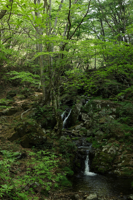 a0157609_1144958.jpg