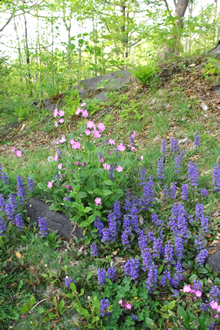 c0157412_21342226.jpg