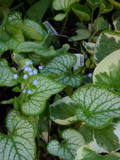c0167112_18174135.jpg