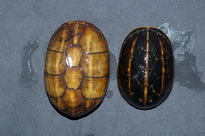 e0254814_0710100.jpg