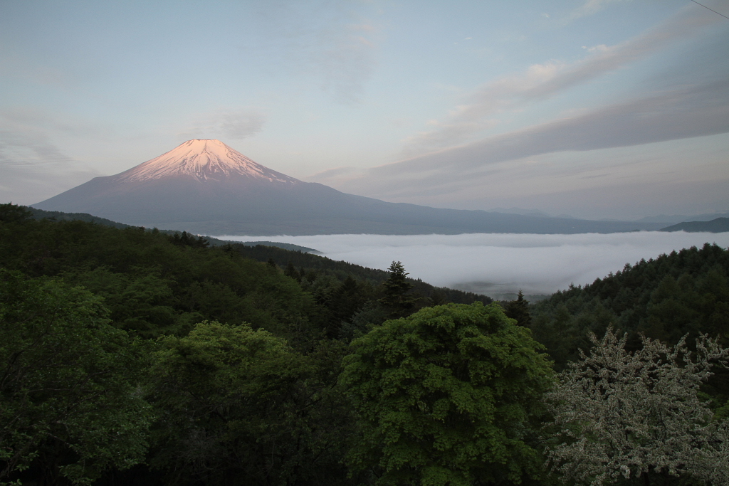 d0240223_225954.jpg
