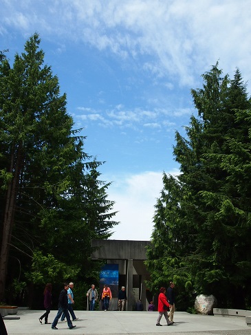 f0111926_15263026.jpg