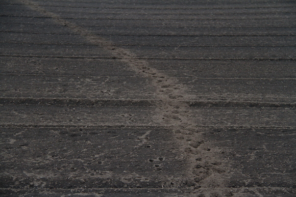 c0280729_16372197.jpg