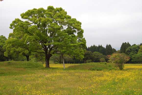 c0280729_1643367.jpg