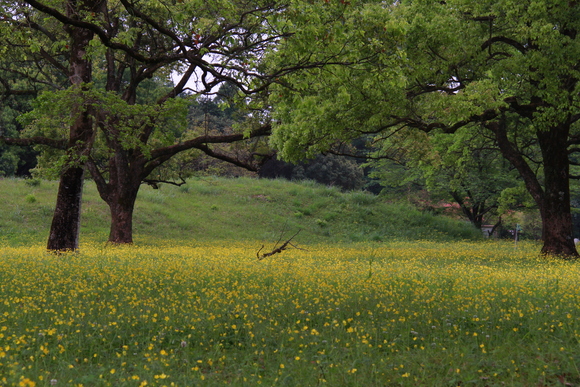 c0280729_16454410.jpg