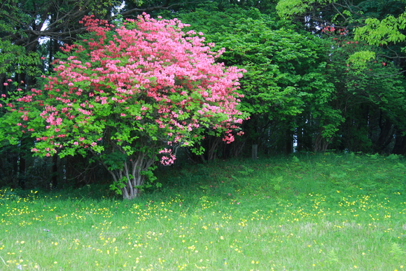 c0280729_16485023.jpg