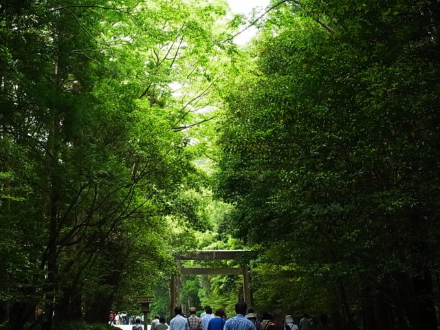 c0125735_17293033.jpg