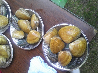c0227640_810778.jpg