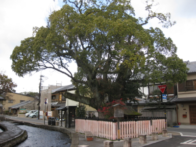 f0141840_2593171.jpg
