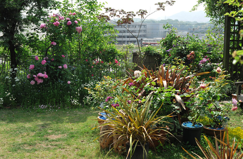 b0075541_23391331.jpg