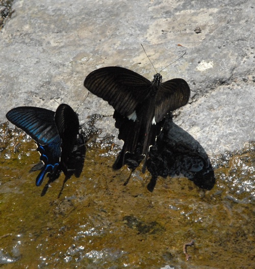 d0098541_18293465.jpg