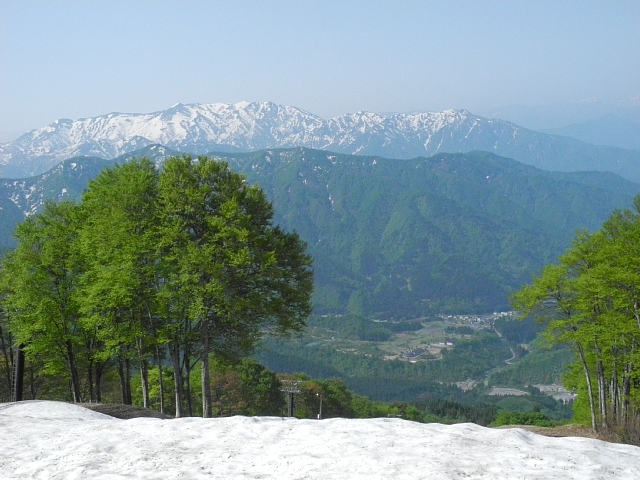 b0122448_12332529.jpg