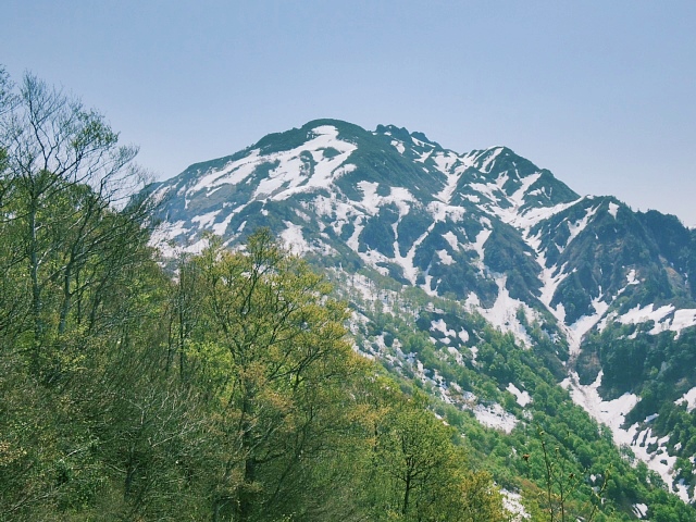 b0122448_1258373.jpg