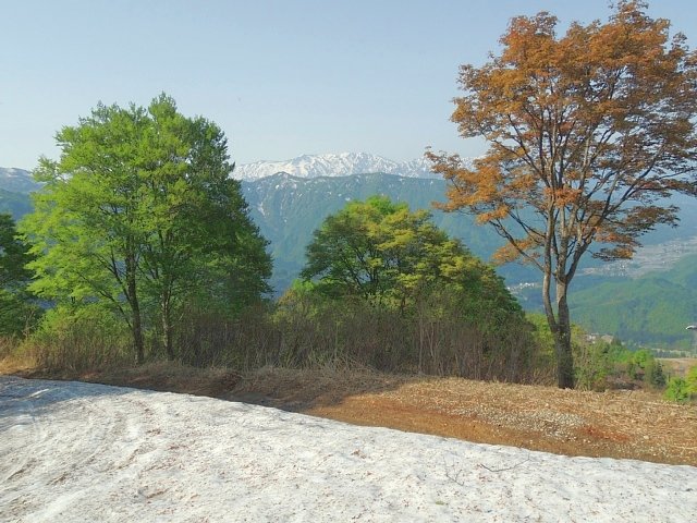 b0122448_1301469.jpg