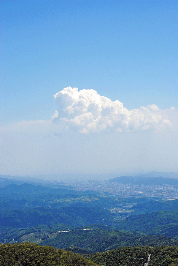a0001354_20581575.gif