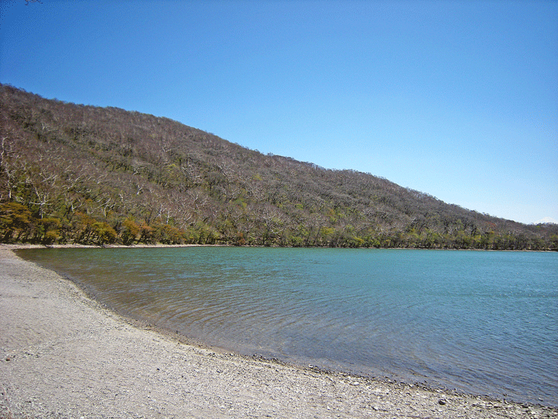 a0001354_20591845.gif