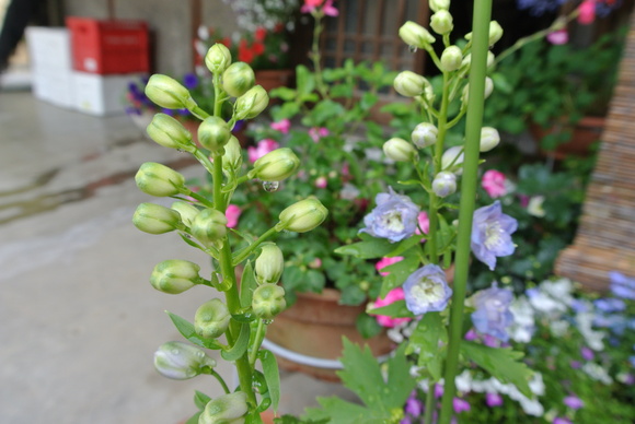 b0267163_9254255.jpg
