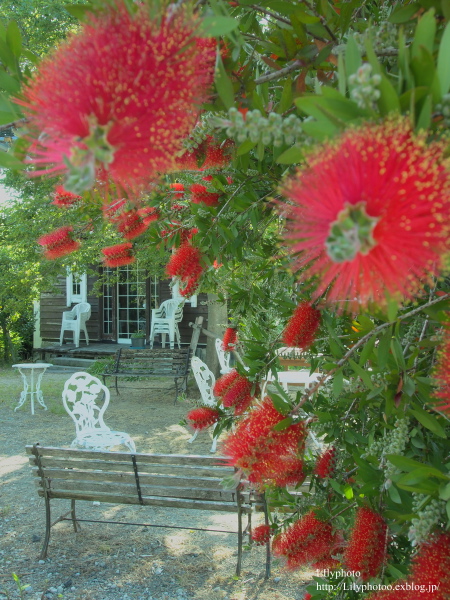 c0238163_2110277.jpg