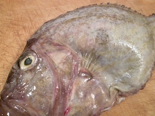 f0241468_22381599.jpg