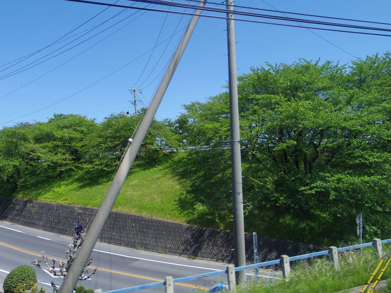 d0160172_2146866.jpg