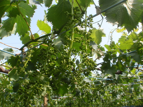 f0224772_2114174.jpg