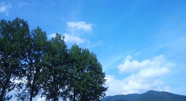 a0287278_10552497.jpg