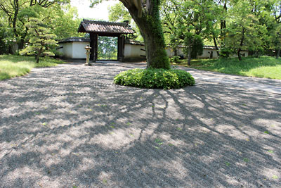 c0152779_1535347.jpg
