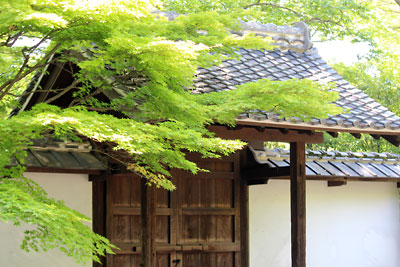 c0152779_15361390.jpg
