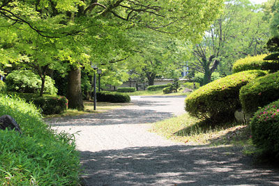 c0152779_15433066.jpg