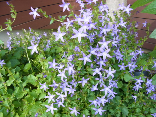c0113084_22364253.jpg