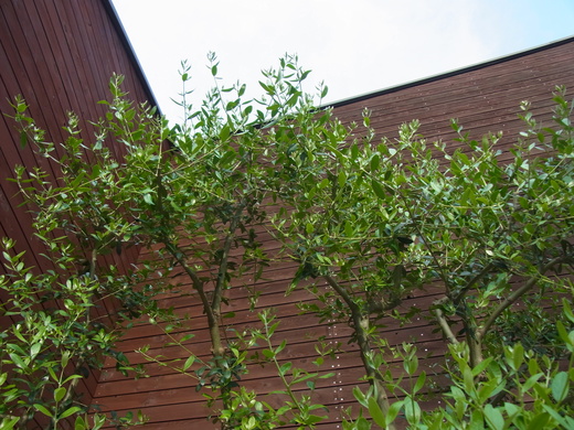 c0113084_22375116.jpg