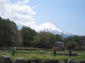 e0096485_1058435.jpg
