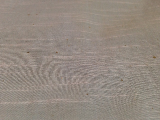 c0078587_1950277.jpg