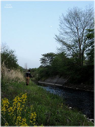 e0138787_21374912.jpg