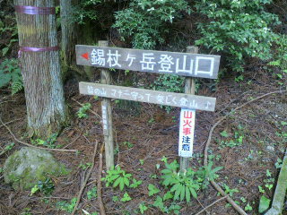 d0247789_1450384.jpg