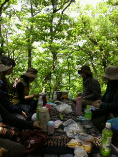 d0247789_1533194.jpg