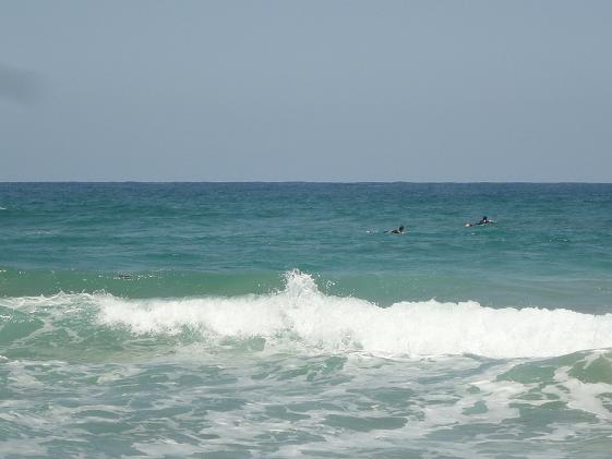 f0131491_13352637.jpg