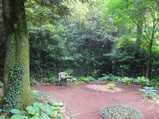 f0106692_8193557.jpg
