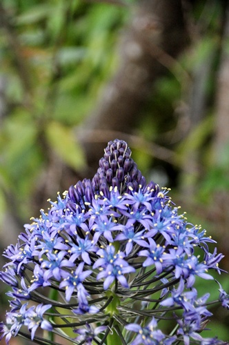 f0176499_1213464.jpg