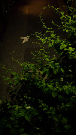 f0239100_022649.jpg