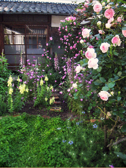 d0077603_10442776.jpg